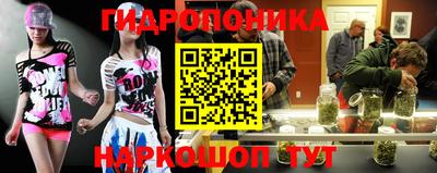крисы Краснокаменск
