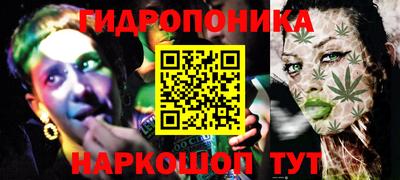 крисы Краснокаменск