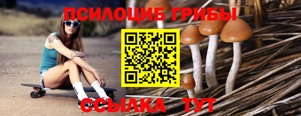 Галлюциногенные грибы GOLDEN TEACHER Камень-на-Оби