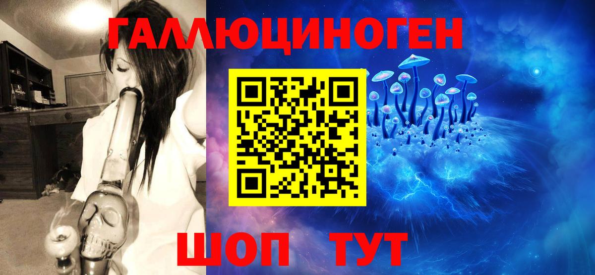 Псилоцибиновые грибы ЛСД  Вход с VPN  Камень-на-Оби 